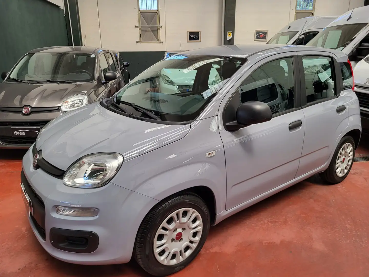 Fiat Panda 1.0 firefly hybrid PREZZO REALE SENZA VINCOLI Grigio - 1