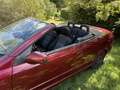 Opel Astra Cabrio 1.6 16V Linea Rossa Rouge - thumbnail 7