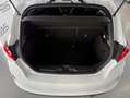 Ford Fiesta 1.0 EcoBoost ST Line 100 Blanco - thumbnail 50