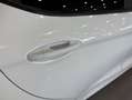 Ford Fiesta 1.0 EcoBoost ST Line 100 Blanco - thumbnail 16