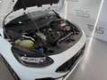 Ford Fiesta 1.0 EcoBoost ST Line 100 Blanco - thumbnail 48