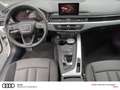 Audi A4 Avant ultra Xenon Einparkhilfe Bianco - thumbnail 6
