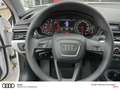 Audi A4 Avant ultra Xenon Einparkhilfe Bianco - thumbnail 20