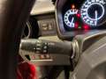 Suzuki Ignis Ignis III 2020 1.2h Top 2wd Rosso - thumbnail 14