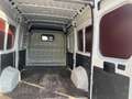 Peugeot Boxer iva esposta - thumbnail 6