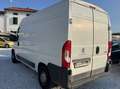 Peugeot Boxer iva esposta - thumbnail 9