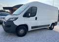 Peugeot Boxer iva esposta - thumbnail 2