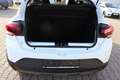 Dacia Sandero Stepway ECO-G 100 Expression Weiß - thumbnail 5