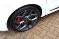 Ford Puma ST X Winterpaket LED Weiß - thumbnail 7