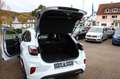 Ford Puma ST X Winterpaket LED Weiß - thumbnail 21
