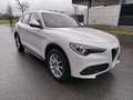 Alfa Romeo Stelvio 2,0 Super AT8 Q4 Weiß - thumbnail 7