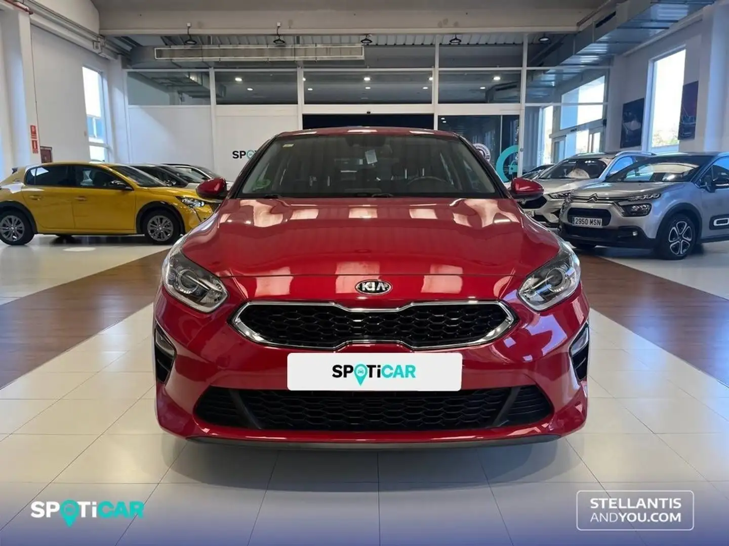 Kia 1.4 CVVT 74kW (100CV) Concept Rood - 2