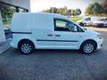 Volkswagen Caddy 1.6 TDI 102 CV AUTOCARRO 2 POSTI + IVA Bianco - thumbnail 4