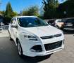 Ford Kuga Individual Weiß - thumbnail 14