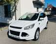 Ford Kuga Individual Weiß - thumbnail 4