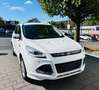 Ford Kuga Individual Weiß - thumbnail 2