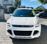 Ford Kuga Individual Weiß - thumbnail 15