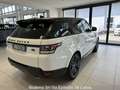Land Rover Range Rover Sport 3.0 TDV6 HSE Dynamic-TETTO Bianco - thumbnail 3