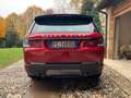Land Rover Range Rover Sport 3.0 tdV6 HSE Dynamic auto Rosso - thumbnail 4
