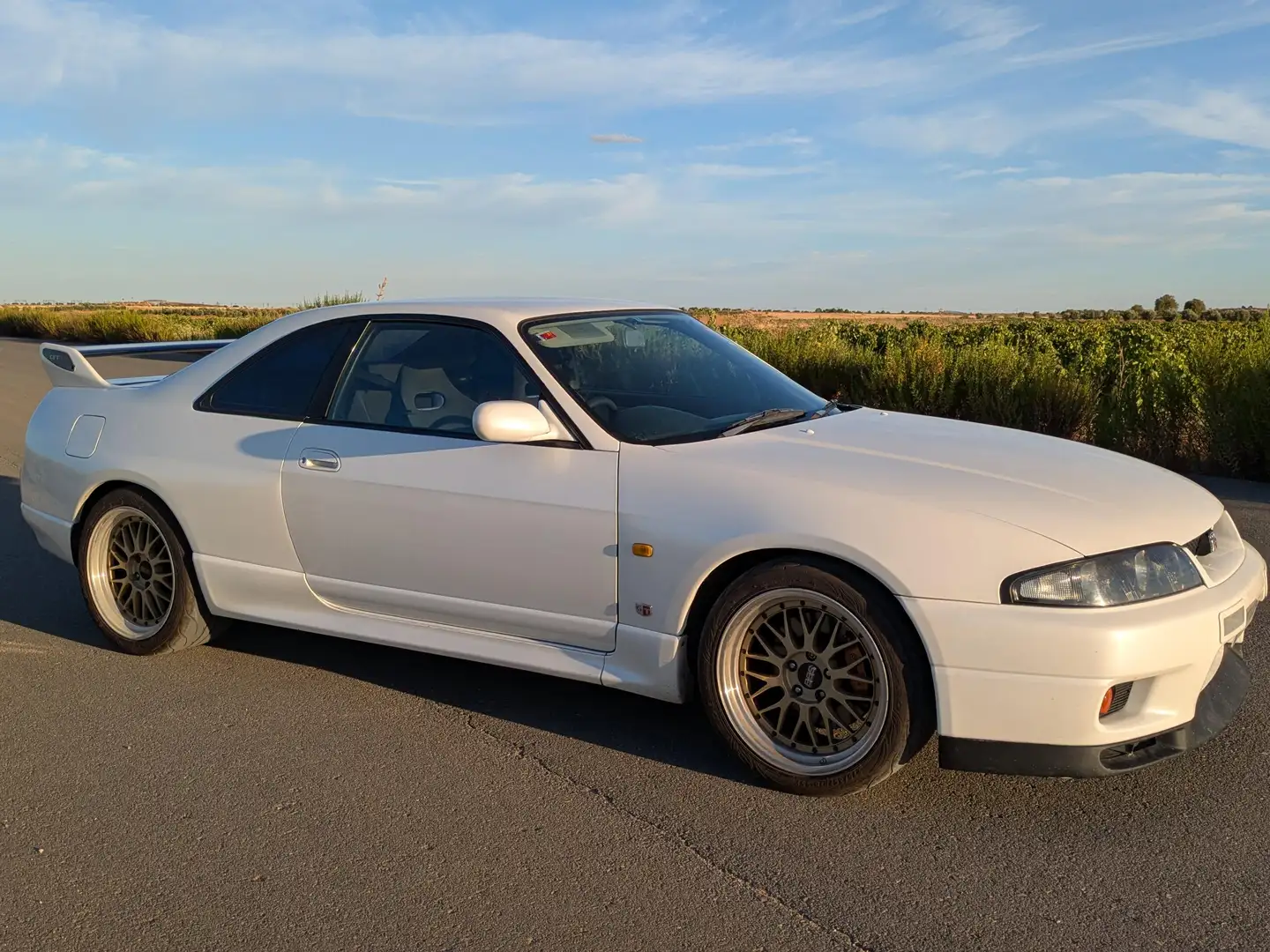 Nissan Skyline R33 GT-R Blanco - 2