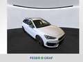 CUPRA Leon Sportstourer VZ 2.0 TSI DSG NAVI*LED*DCC*ACC*BEATS Weiß - thumbnail 1