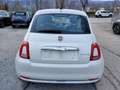 Fiat 500 1.0 Hybrid Dolcevita Bianco - thumbnail 6