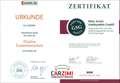 Renault Latitude 2.0 16V 140 Leder Keyless Klimaauto. Silber - thumbnail 25
