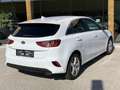 Kia Ceed / cee'd ceed 1,5 TGDI Silber Weiß - thumbnail 5
