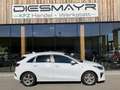 Kia Ceed / cee'd ceed 1,5 TGDI Silber Weiß - thumbnail 6