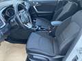 Kia Ceed / cee'd ceed 1,5 TGDI Silber Weiß - thumbnail 19