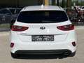 Kia Ceed / cee'd ceed 1,5 TGDI Silber Weiß - thumbnail 4