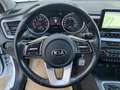 Kia Ceed / cee'd ceed 1,5 TGDI Silber Weiß - thumbnail 16
