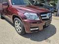 Mercedes-Benz GLK 220 CDI 4MATIC BlueEfficiency Aut. Rot - thumbnail 2