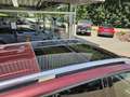 Mercedes-Benz GLK 220 CDI 4MATIC BlueEfficiency Aut. Rojo - thumbnail 19