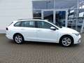 Volkswagen Golf Variant 8 Variant 2.0 TDI Life *LED*PDC*Navi* Biały - thumbnail 2