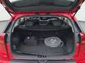 Kia Niro KIA Niro 1.6 Hybrid*Vision*DCT*LED*Kamera*STHZ Red - thumbnail 10