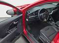 Kia Niro KIA Niro 1.6 Hybrid*Vision*DCT*LED*Kamera*STHZ Red - thumbnail 13