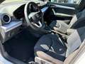 SEAT Ibiza FR 1.0 TSI DSG, SHZ, KESSY, LED, RFK Weiß - thumbnail 5