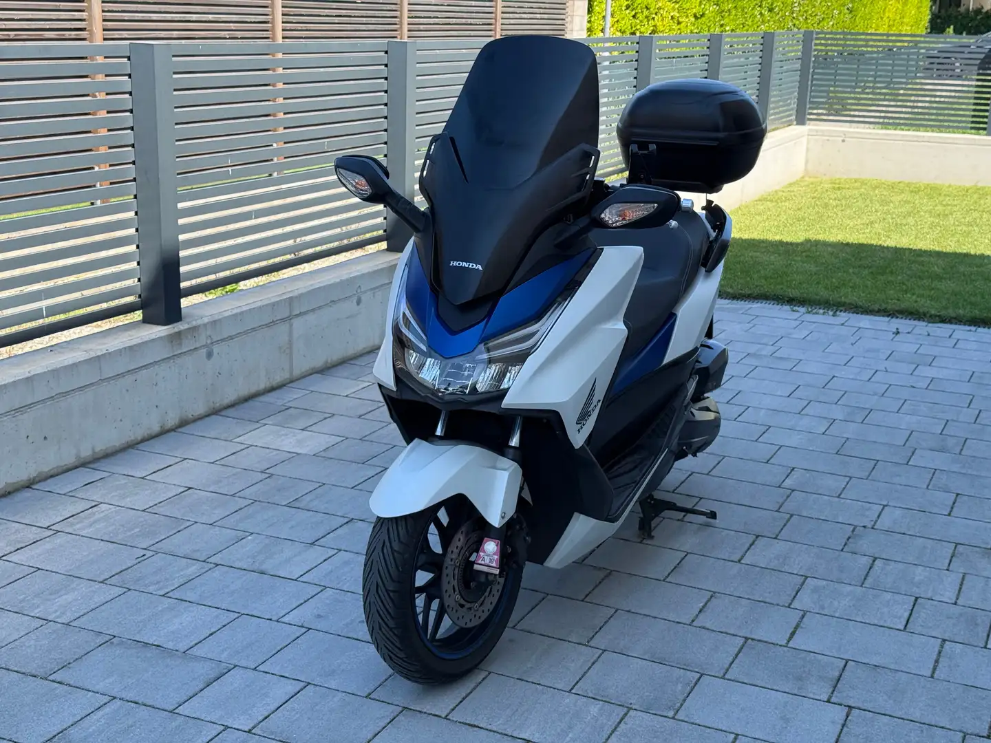 Honda Forza 125 ABS //Pickerl NEU bis 02/2026// Wit - 2