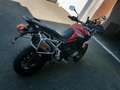 Triumph Tiger 900 GT Pro Aragon Rouge - thumbnail 3