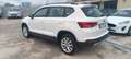 SEAT Ateca 2.0 TDI DSG Business Bianco - thumbnail 6