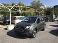 Fiat Panda 1.0 FireFly S&S Hybrid City Cross Blanc - thumbnail 1