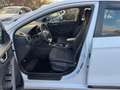 Hyundai IONIQ Ioniq Trend Benzin Hybrid Aut Kamera Weiß - thumbnail 11