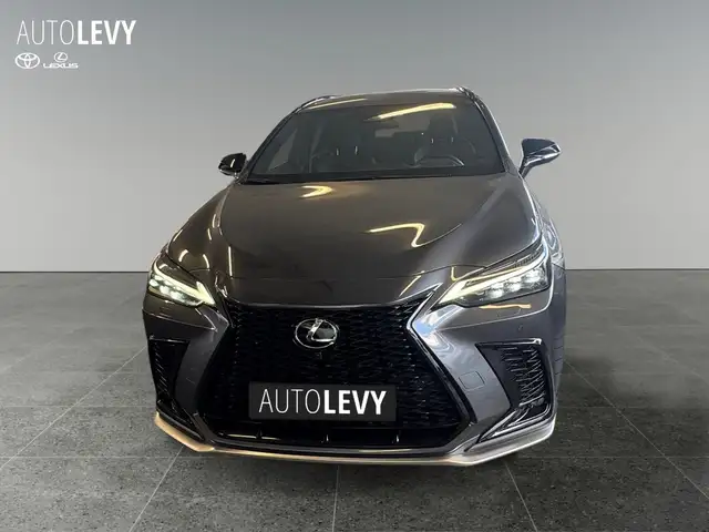 Lexus NX view 9