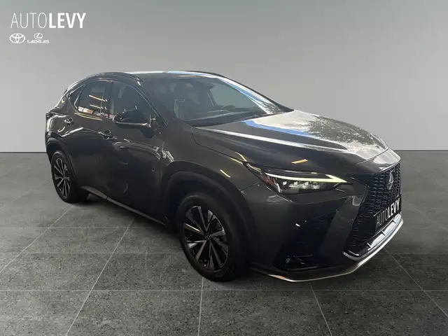 Lexus NX view 8
