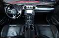 Ford Mustang 5.0 V8 GT/FiftyFiveYears/TTW/SHZ/SBL/R20 Rot - thumbnail 16