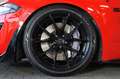 Ford Mustang 5.0 V8 GT/FiftyFiveYears/TTW/SHZ/SBL/R20 Rot - thumbnail 4