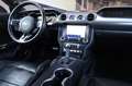 Ford Mustang 5.0 V8 GT/FiftyFiveYears/TTW/SHZ/SBL/R20 Rot - thumbnail 17