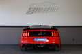Ford Mustang 5.0 V8 GT/FiftyFiveYears/TTW/SHZ/SBL/R20 Rot - thumbnail 5