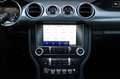 Ford Mustang 5.0 V8 GT/FiftyFiveYears/TTW/SHZ/SBL/R20 Rot - thumbnail 13